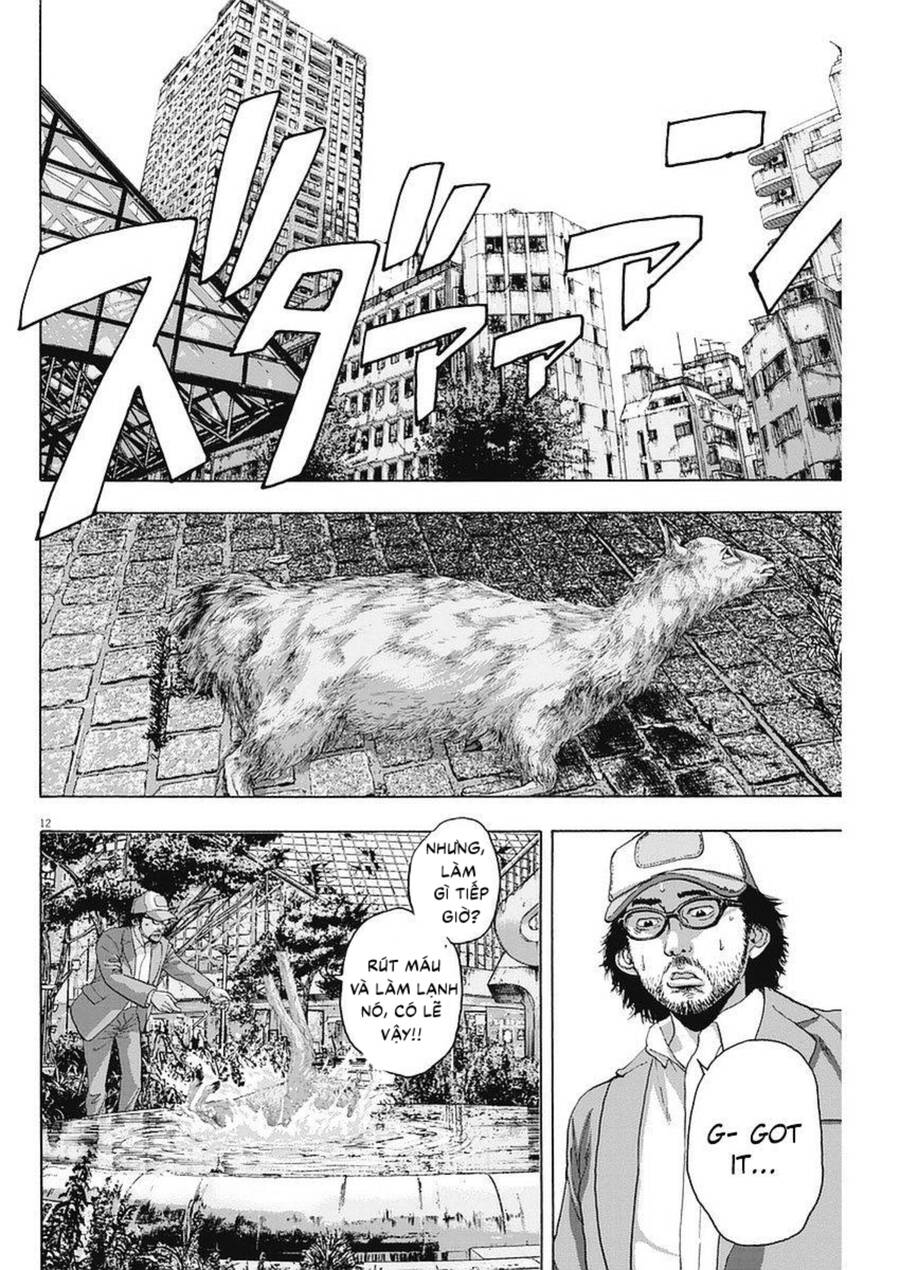 I Am A Hero: Chapter 263