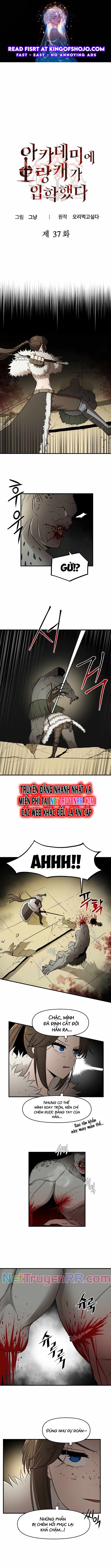 Kẻ man rợ bước vào học viện danh giá: Chapter 37