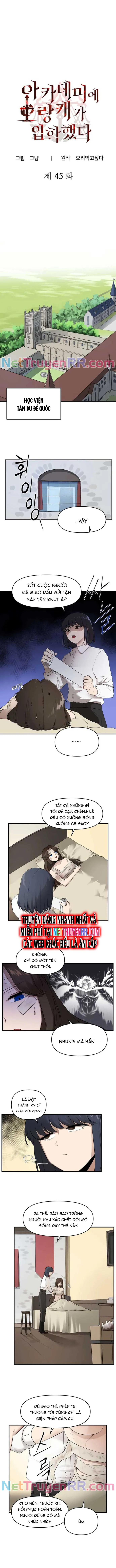 Kẻ man rợ bước vào học viện danh giá: Chapter 45