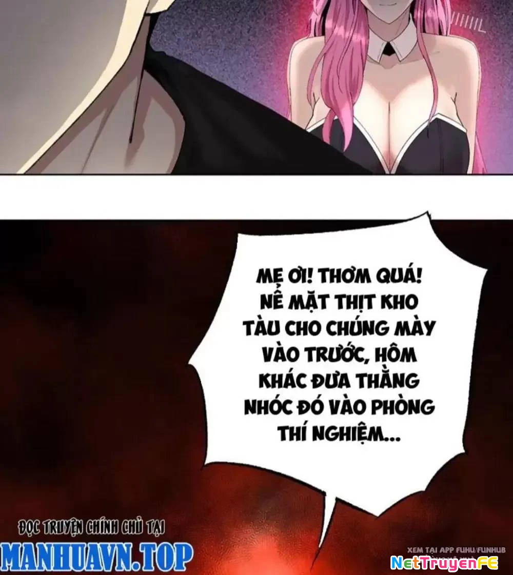 Kẻ Tàn Nhẫn Ngày Tận Thế: Bắt Đầu Dự Trữ Hàng Tỷ Tấn Vật Tư: Chapter 20