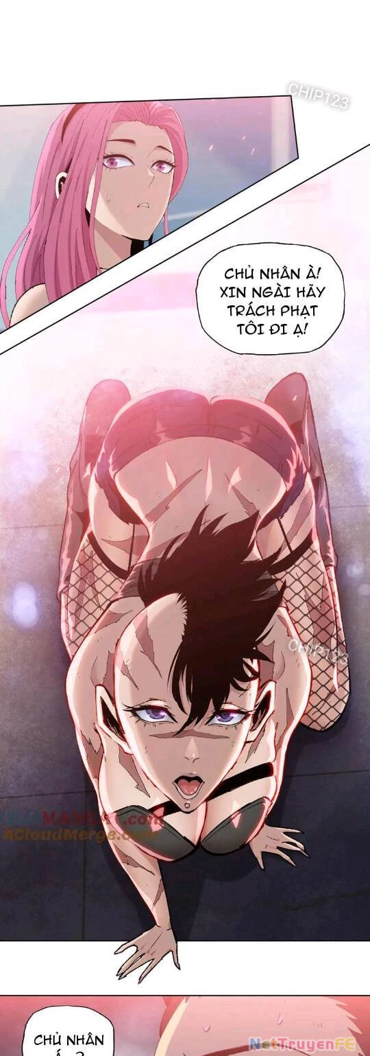 Kẻ Tàn Nhẫn Ngày Tận Thế: Bắt Đầu Dự Trữ Hàng Tỷ Tấn Vật Tư: Chapter 22