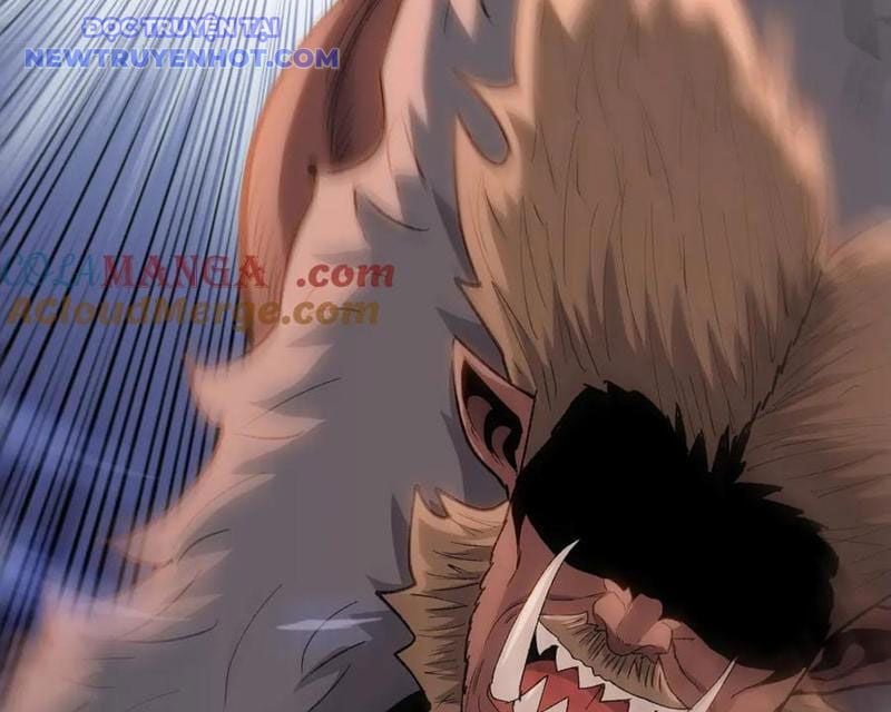 Kẻ Tàn Nhẫn Ngày Tận Thế: Bắt Đầu Dự Trữ Hàng Tỷ Tấn Vật Tư: Chapter 50