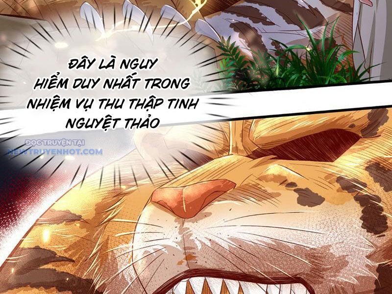 Khắc Đan Tu Tiên Chỉ Cẩu Trường Sinh: Chapter 19