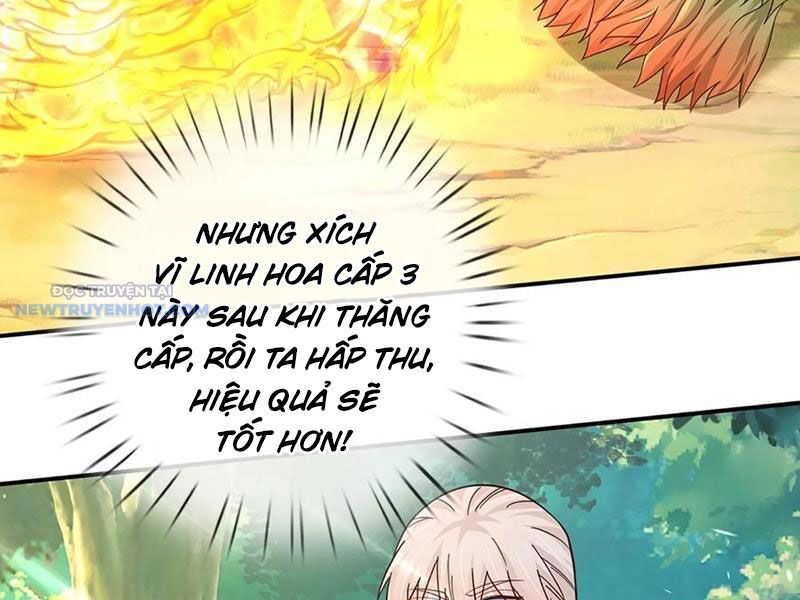 Khắc Đan Tu Tiên Chỉ Cẩu Trường Sinh: Chapter 62