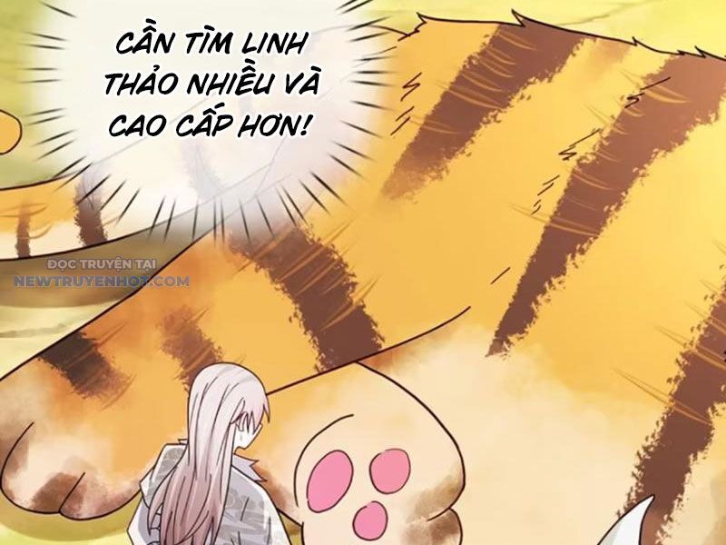 Khắc Đan Tu Tiên Chỉ Cẩu Trường Sinh: Chapter 71