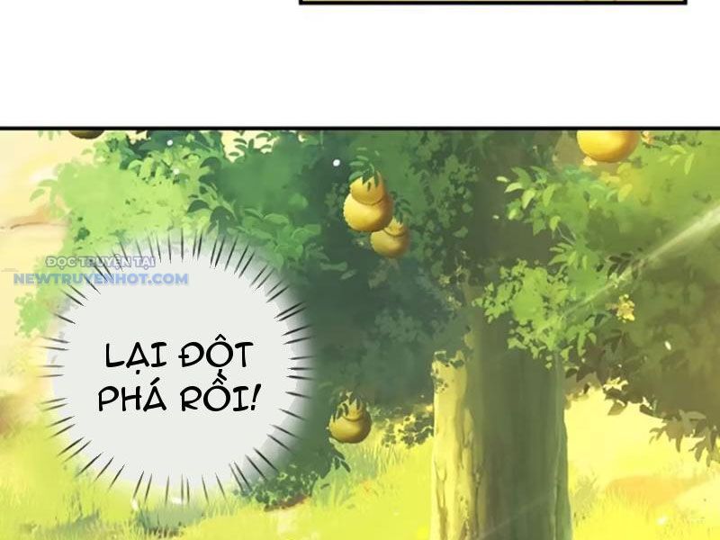 Khắc Đan Tu Tiên Chỉ Cẩu Trường Sinh: Chapter 71