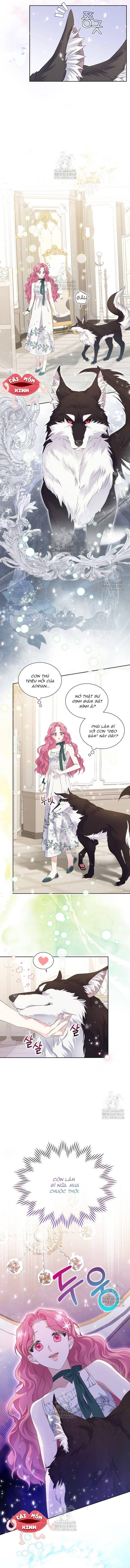 Khi Bị Nam Chính Dịu Dàng Nhưng Cố Chấp Ám Ảnh: Chapter 3