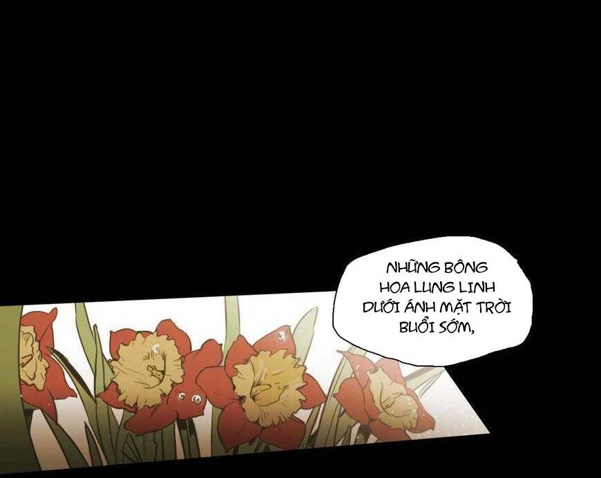 Không Bao Giờ Hiểu: Chapter 55