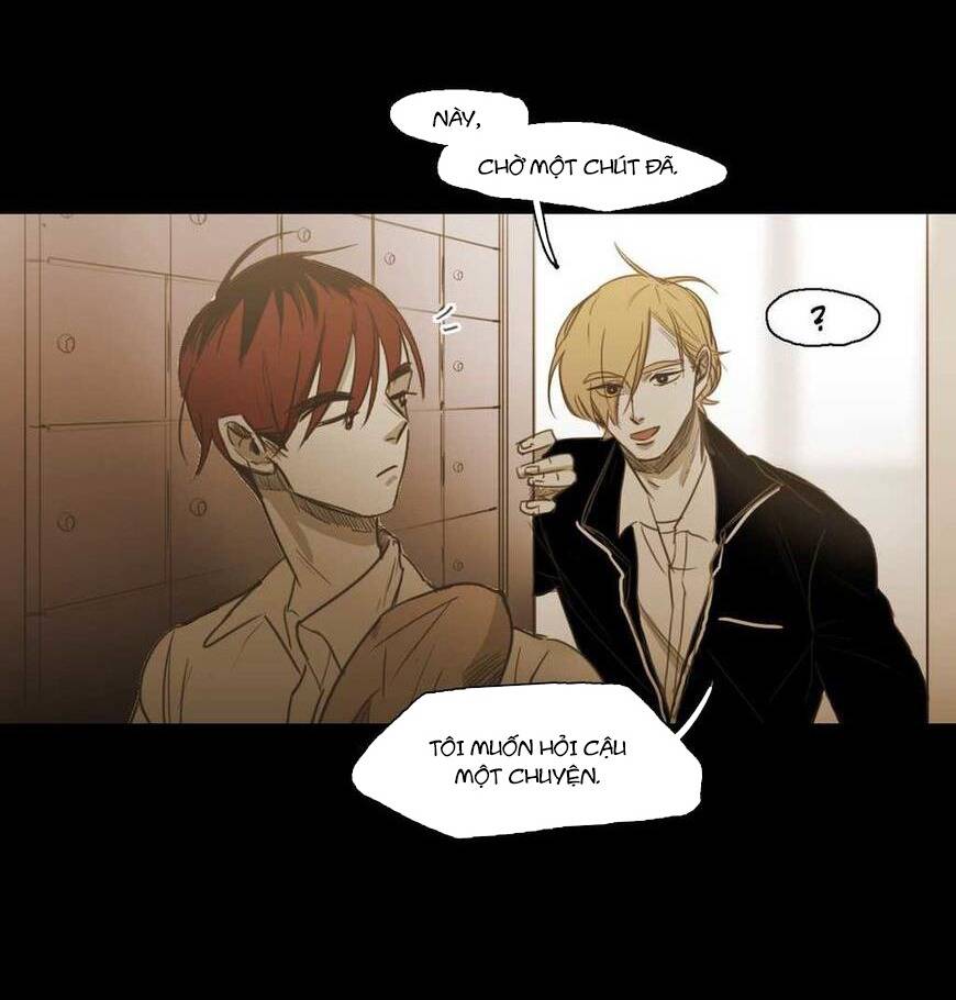 Không Bao Giờ Hiểu: Chapter 55