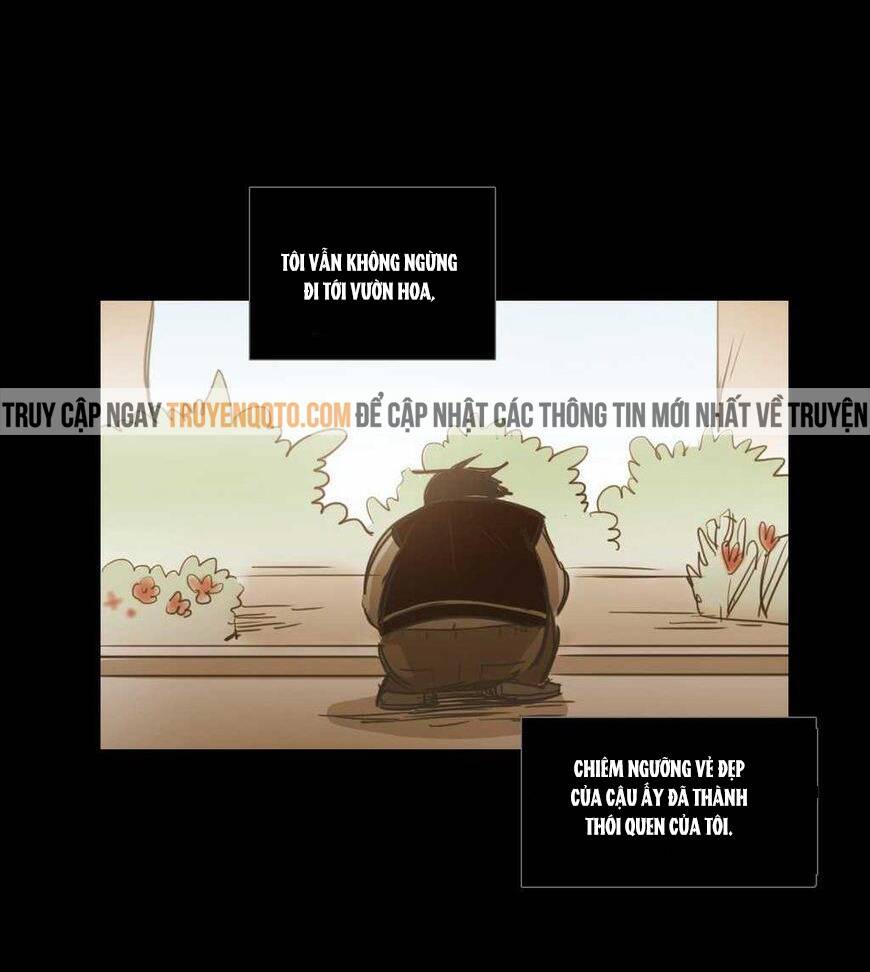 Không Bao Giờ Hiểu: Chapter 57