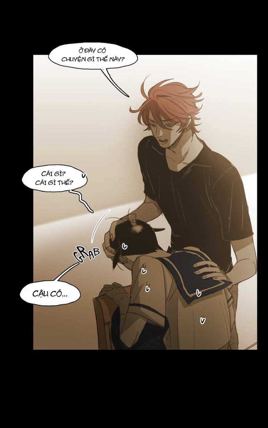 Không Bao Giờ Hiểu: Chapter 67