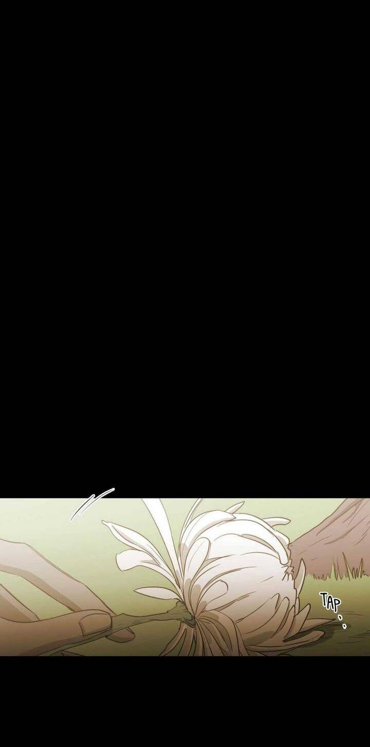 Không Bao Giờ Hiểu: Chapter 69