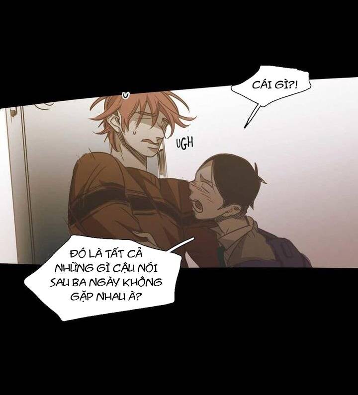 Không Bao Giờ Hiểu: Chapter 70