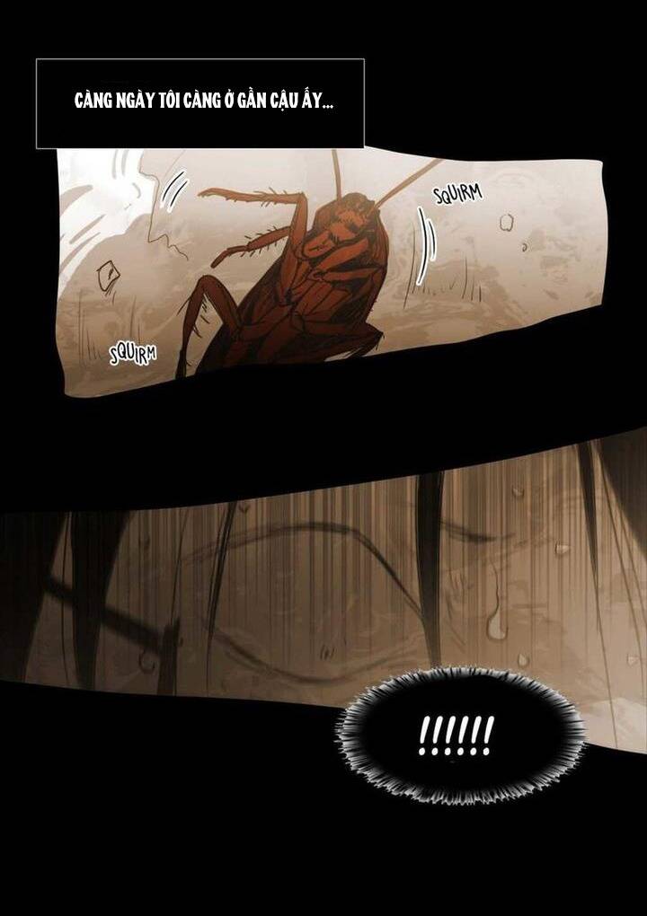 Không Bao Giờ Hiểu: Chapter 73