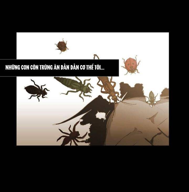 Không Bao Giờ Hiểu: Chapter 74