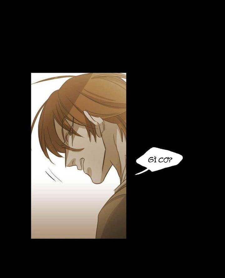 Không Bao Giờ Hiểu: Chapter 75