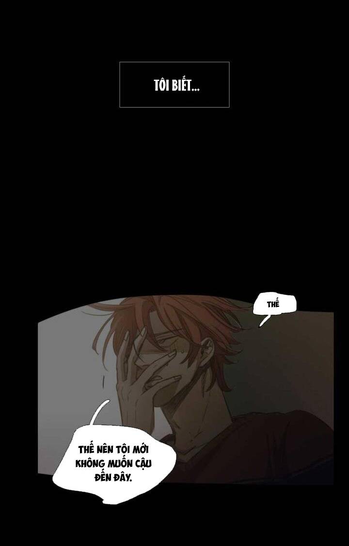 Không Bao Giờ Hiểu: Chapter 75