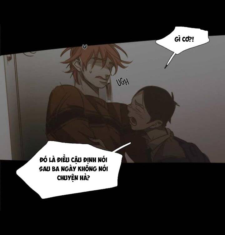 Không Bao Giờ Hiểu: Chapter 75