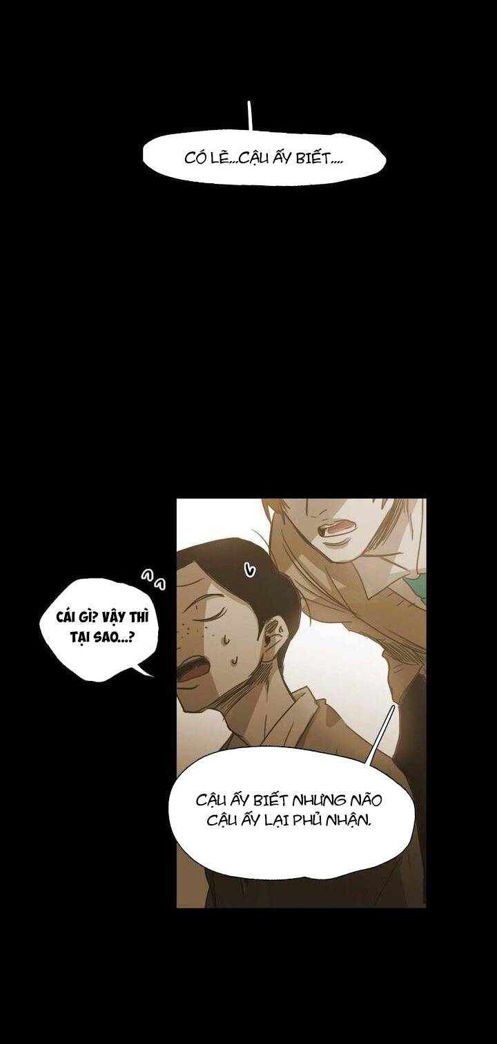 Không Bao Giờ Hiểu: Chapter 75