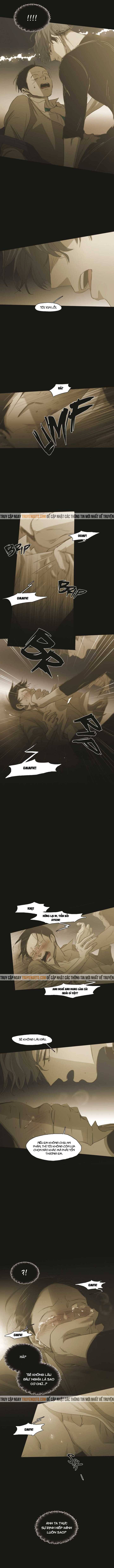 Không Bao Giờ Hiểu: Chapter 79