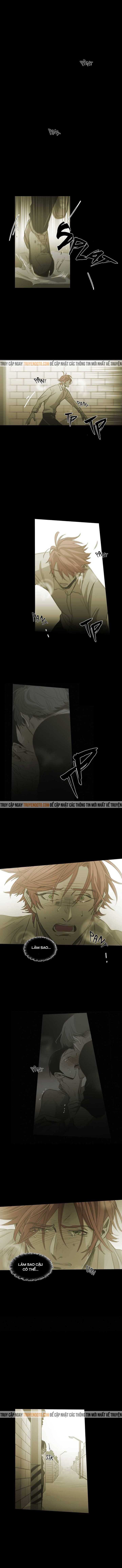 Không Bao Giờ Hiểu: Chapter 80