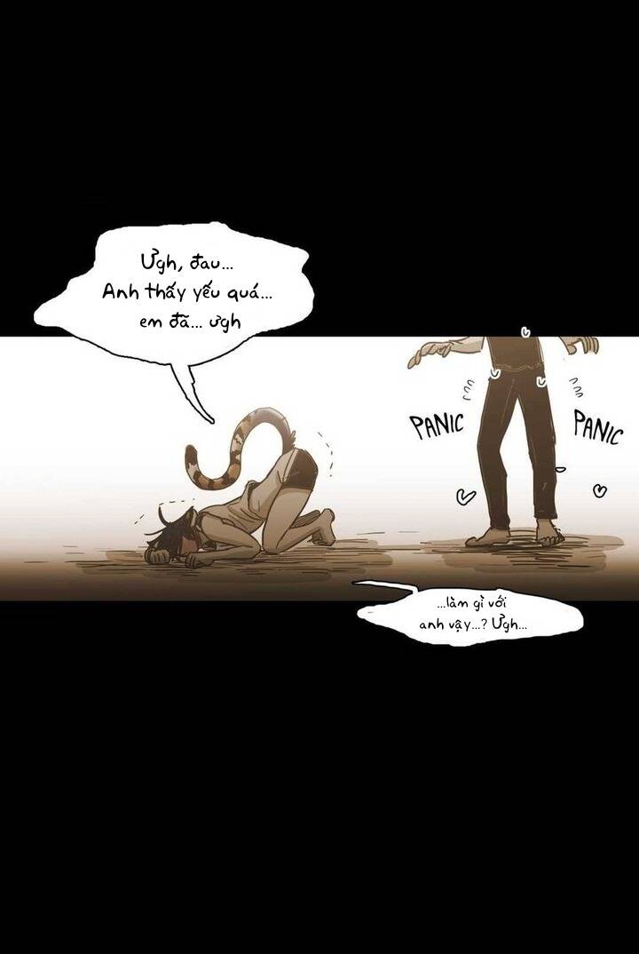 Không Bao Giờ Hiểu: Chapter 85