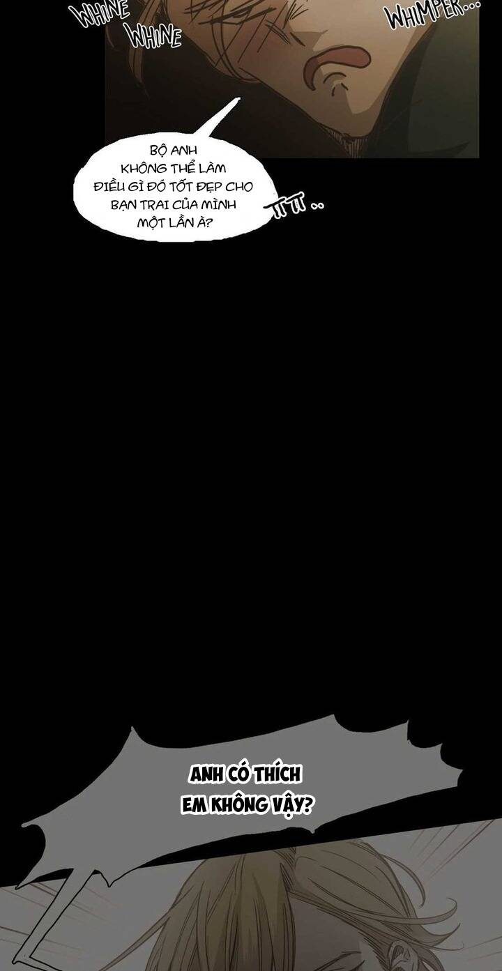 Không Bao Giờ Hiểu: Chapter 85