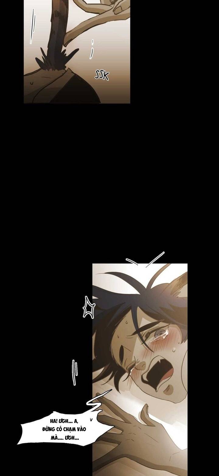 Không Bao Giờ Hiểu: Chapter 85