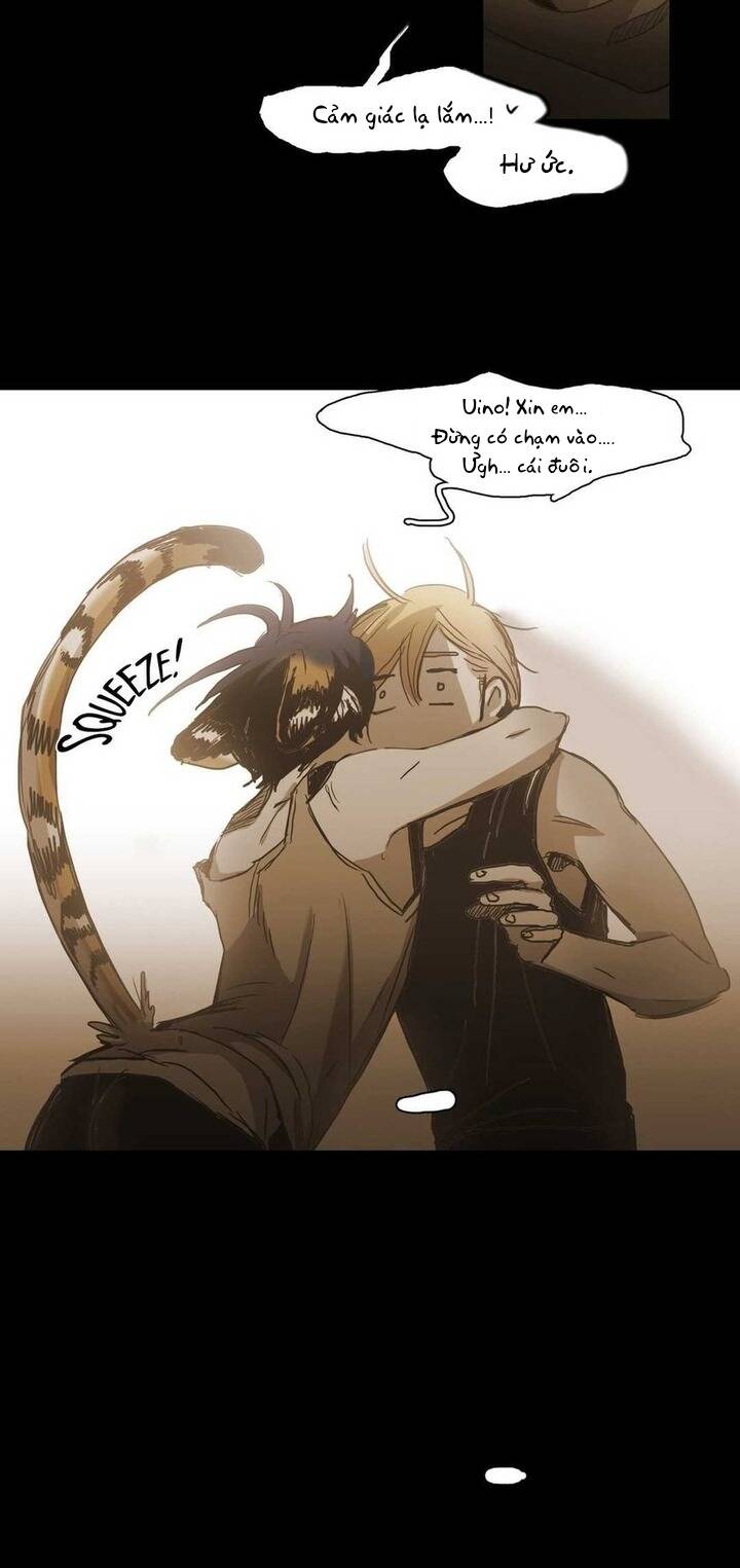 Không Bao Giờ Hiểu: Chapter 85