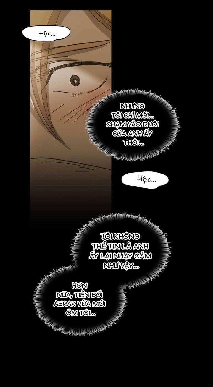 Không Bao Giờ Hiểu: Chapter 85