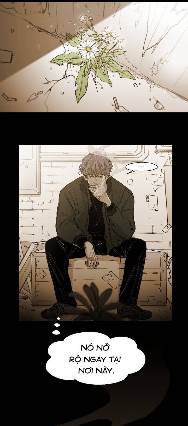 Không Bao Giờ Hiểu: Chapter 86