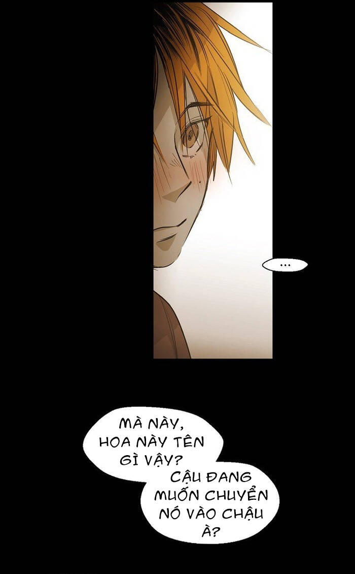 Không Bao Giờ Hiểu: Chapter 87