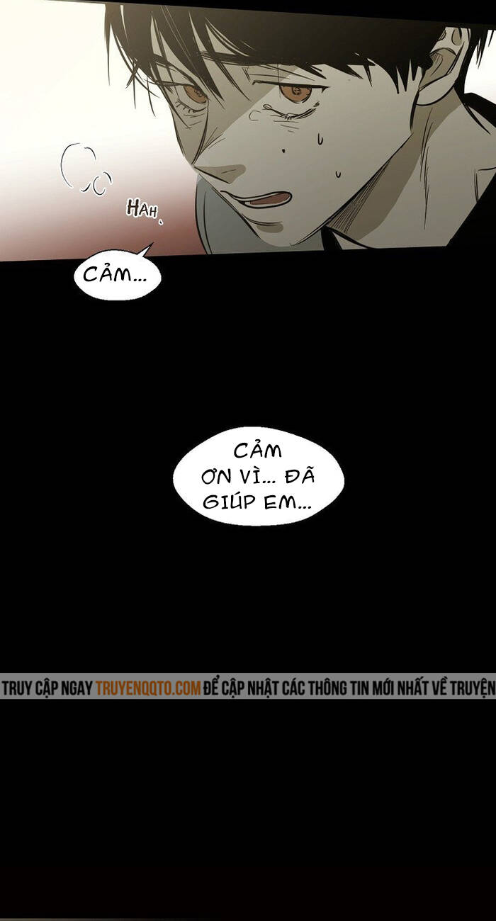 Không Bao Giờ Hiểu: Chapter 88