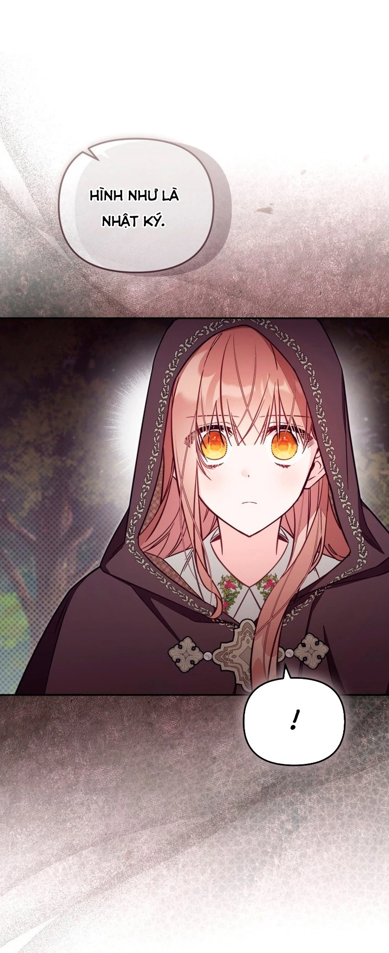 Không Có Nơi Nào Dành Cho Công Chúa Giả Mạo: Chapter 79
