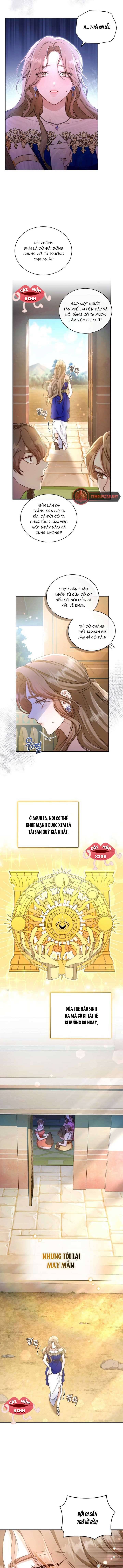 Khu Rừng Hoang Dã: Chapter 1