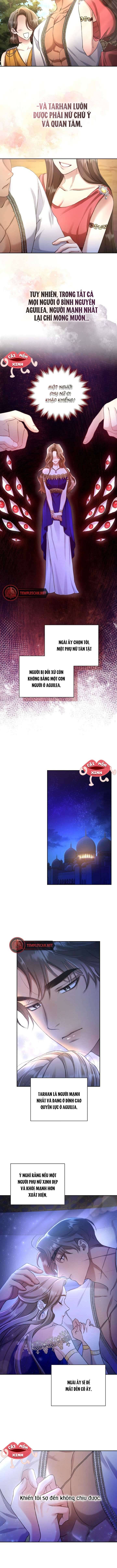 Khu Rừng Hoang Dã: Chapter 1