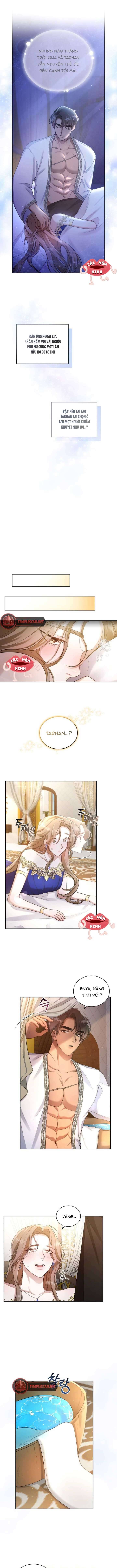 Khu Rừng Hoang Dã: Chapter 1