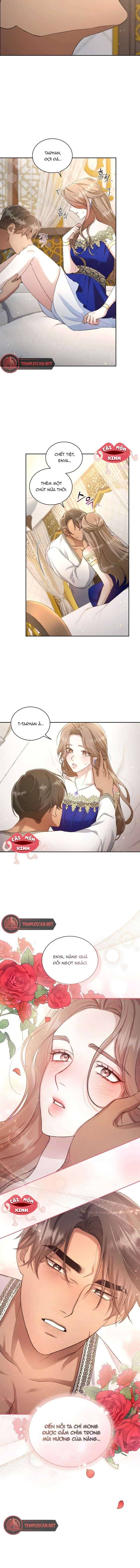 Khu Rừng Hoang Dã: Chapter 1