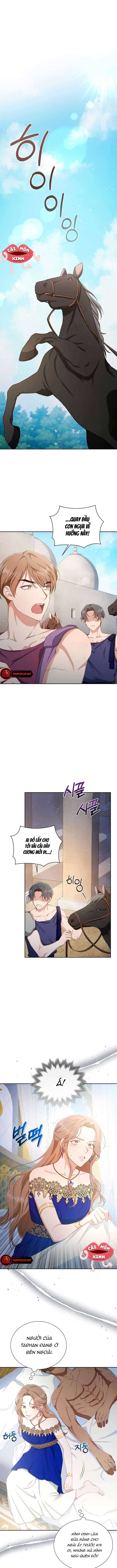 Khu Rừng Hoang Dã: Chapter 5