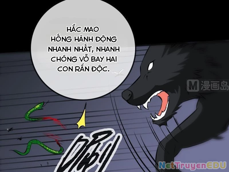 Kiếp Thiên Vận: Chapter 175