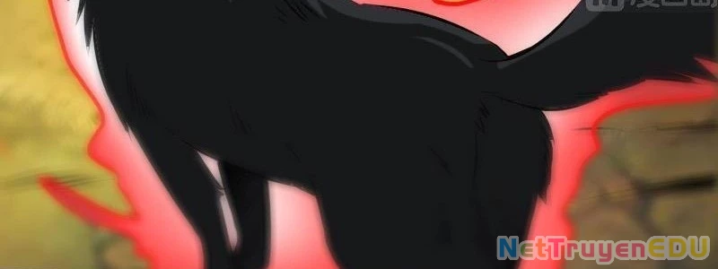 Kiếp Thiên Vận: Chapter 183