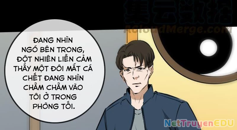 Kiếp Thiên Vận: Chapter 187