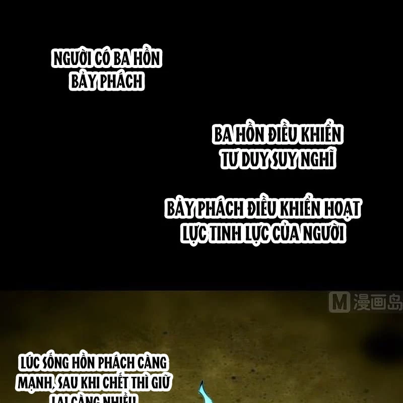 Kiếp Thiên Vận: Chapter 200