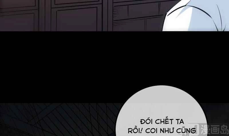 Kiếp Thiên Vận: Chapter 213