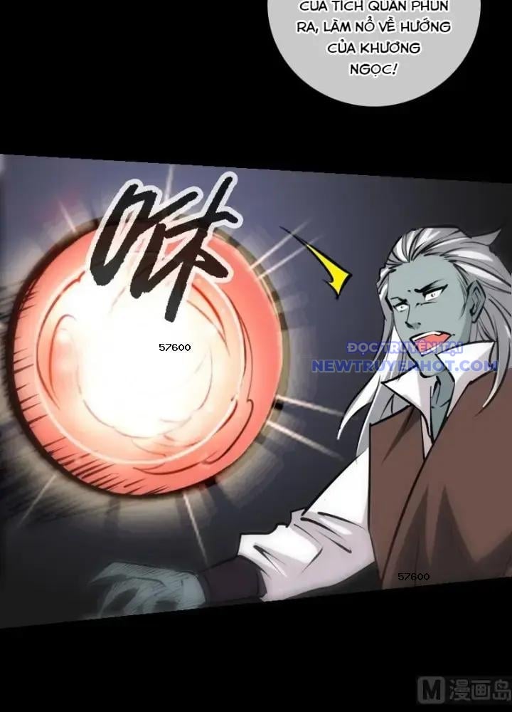 Kiếp Thiên Vận: Chapter 215