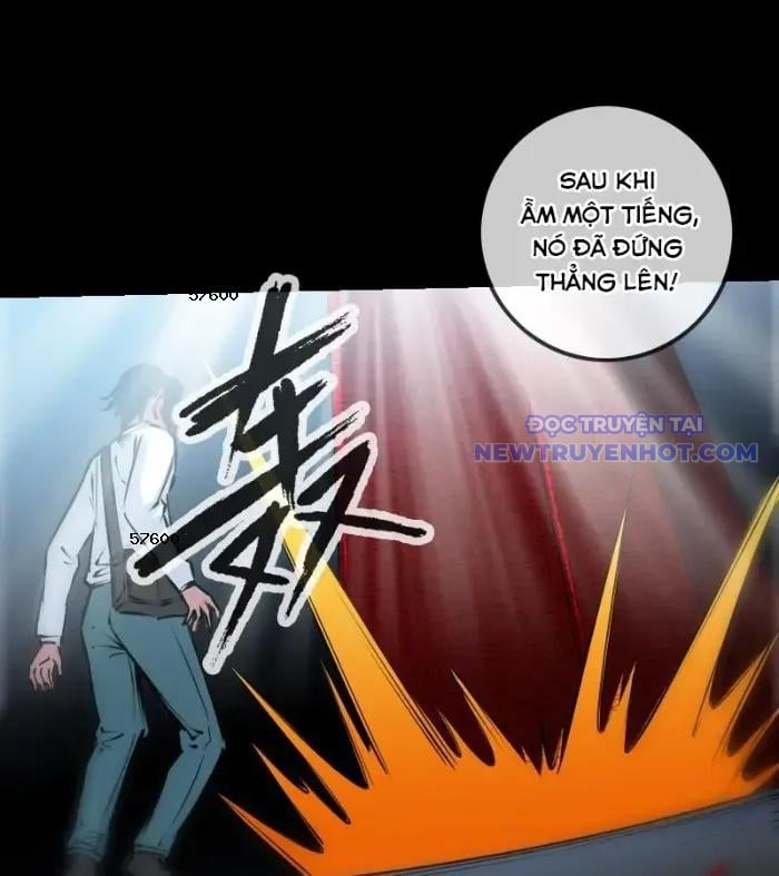 Kiếp Thiên Vận: Chapter 223