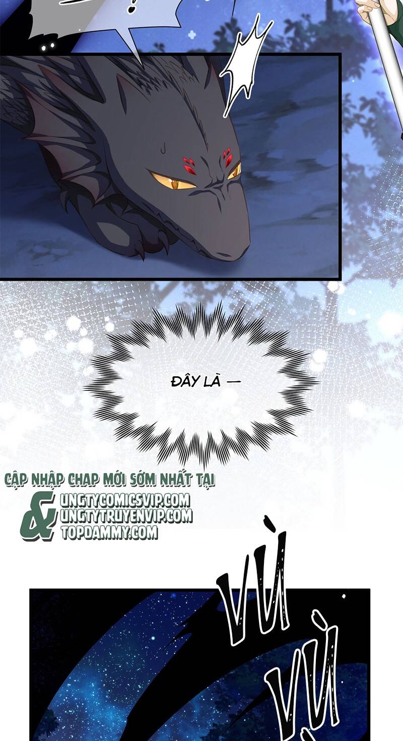 Tôi Trùng Sinh Trở Thành Tiểu Ác Long Của Vương Tử Điện Hạ: Chapter 12