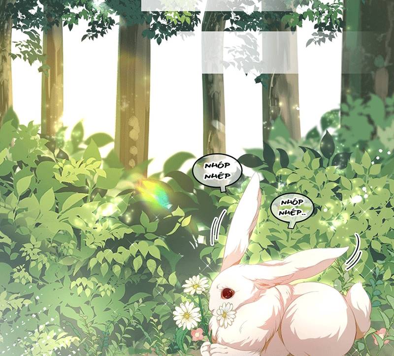 Tôi Trùng Sinh Trở Thành Tiểu Ác Long Của Vương Tử Điện Hạ: Chapter 15