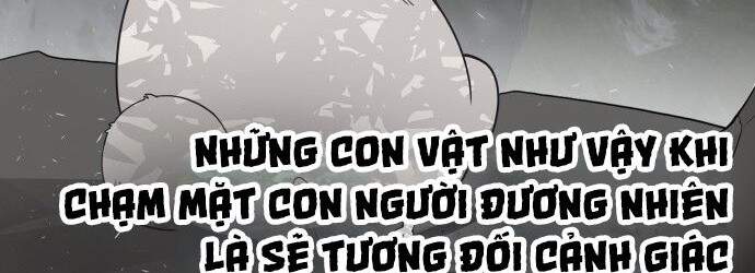 Kỷ Nguyên Siêu Anh Hùng: Chapter 70