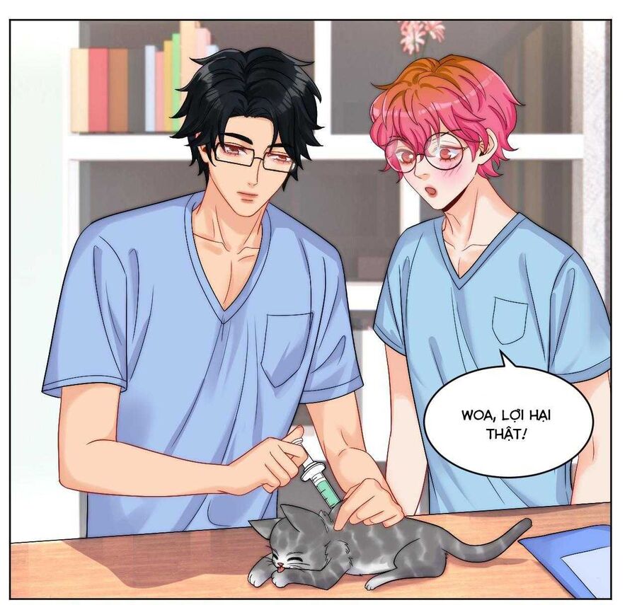 Ký Túc Xá Nam Phòng 303: Chapter 249